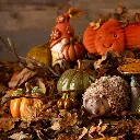 wurm grosshandel herbst 2026_1280x1280.webp