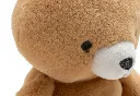 037-001-68236_5_20260617T.webp