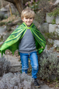 Ailes de dragon vertes en tissu avec masque - Great Pretenders ★