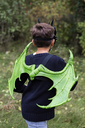 Ailes de Dragon Vert - Great Pretenders ★
