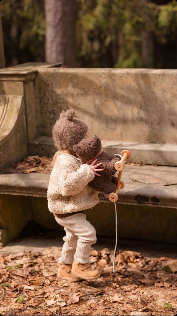 Jouet à tirer Raoul l'Ours brun - Egmont Toys ★