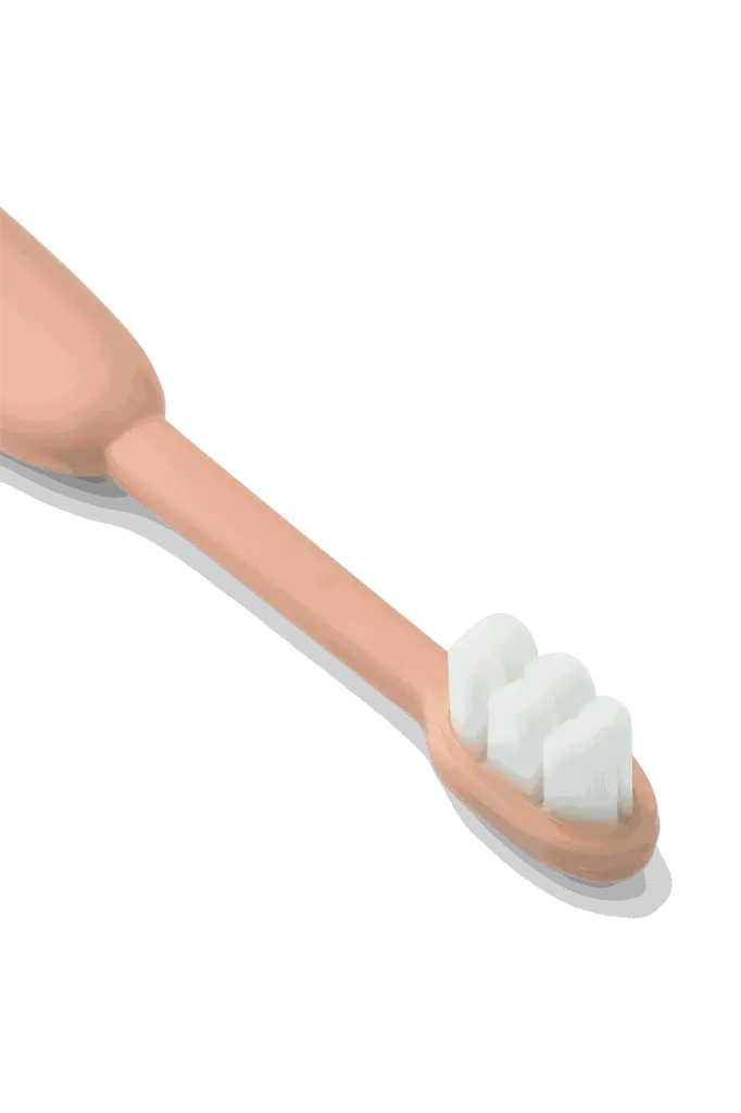 Fabio_Classic_Toddler_toothbrush_LW20412_2140_Pale_tuscany_Sandy_2.webp