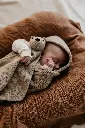TEDDY TOKKI SAND 7.webp