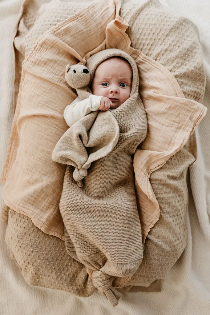 TEDDY TOKKI SAND.webp