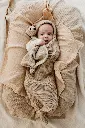TEDDY TOKKI SAND.webp