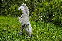 57561 LS8.webp