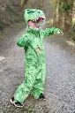 66343 66345 66347_LS8.webp