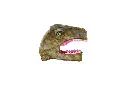 66353_66355_66357_Head.webp
