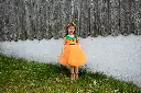 34312 34313 34315_LS2.webp