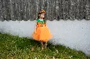 34312 34313 34315_LS3.webp