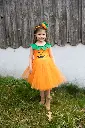 34312 34313 34315_LS6.webp