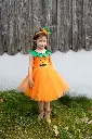 34312 34313 34315_LS5.webp