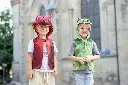 66313 66315 66323 66325 LS1.webp