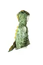 66313_66315 17-12-2024 16_43_05_431.webp