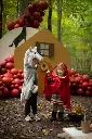 50875 57565LS44.webp
