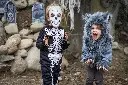 65893_65895_65897_66303_66305_LS4.webp