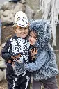 65893_65895_65897_66303_66305_LS13.webp