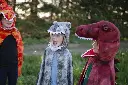 56855 56857 56835 56837 56875 56877 LS5.webp