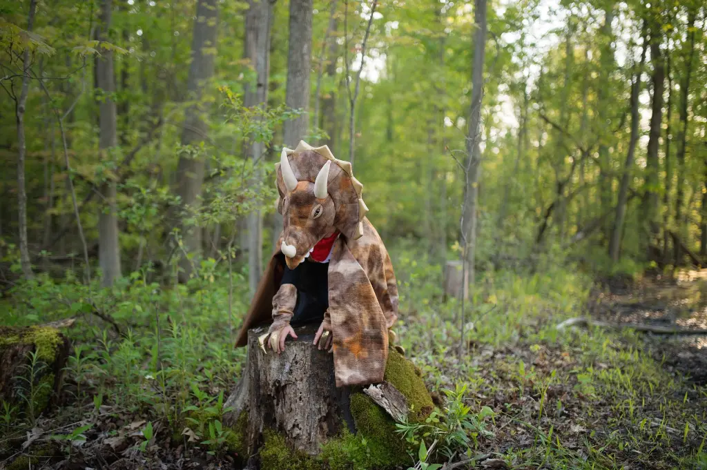 56807 56805LS11.webp