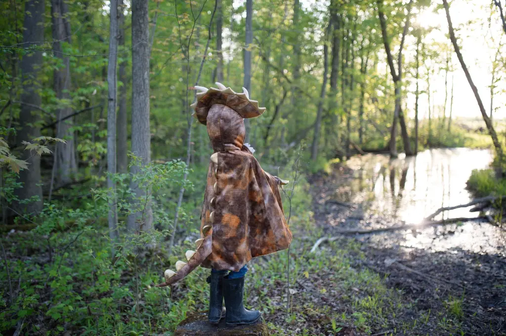 56807 56805LS14.webp