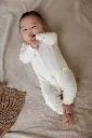 1541110_1318_NIA_1.webp