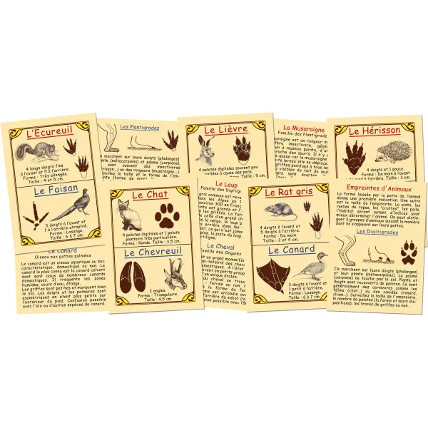 jeu-marc-vidal-empreintes-d-animaux (1).webp