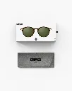 sun-d-tortoise (6).webp