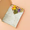 Geschenkdoos Droogbloemen in een Doos Multi