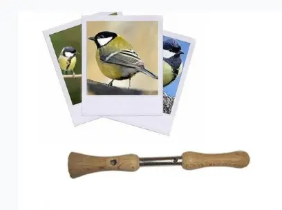 Appeau Mésange Charbonnière - Liste de cadeau d'anniversaire pour Camille