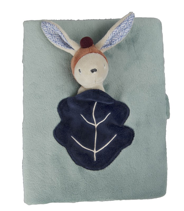 Gabin the Bunny Health Record Cover - Ebulobo