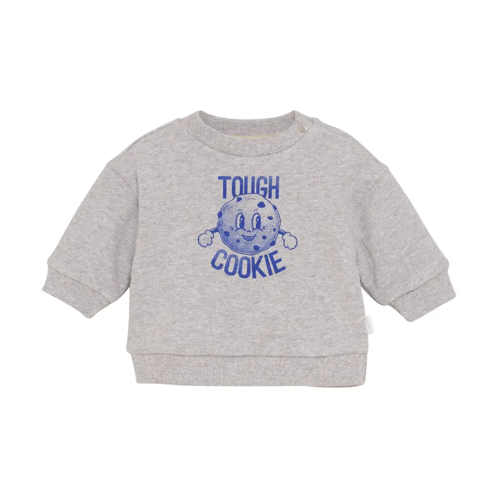 Sweatshirt Sardesi Grey Melange - Noppies