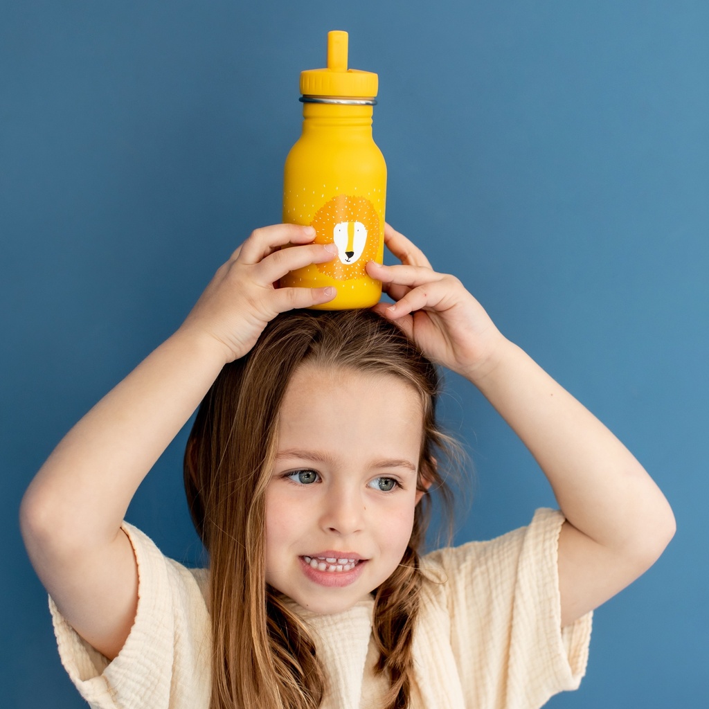 [TR40-213] Water Bottle 350ml - Mr. Lion