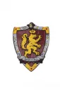 Bouclier de chevalier Honour EVA - Great Pretenders