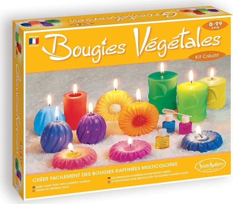 PARTCIPATION : Bougies végétales DIY - Liste de cadeaux d'anniversaire d'Alice