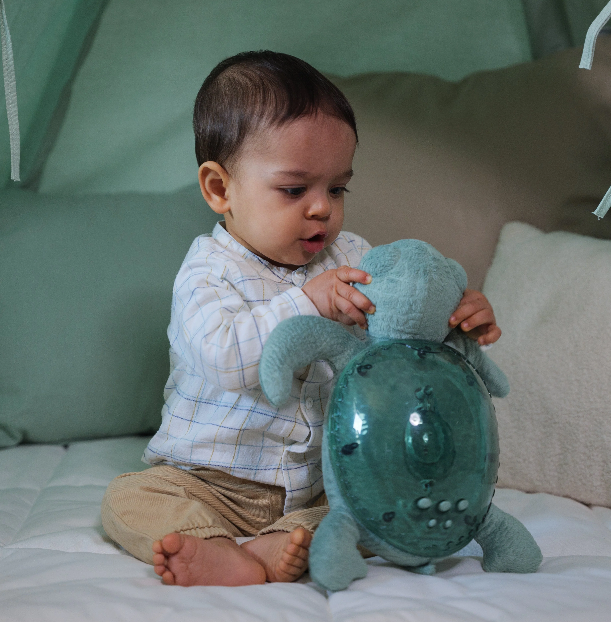 Tranquil Turtle™ - Liste de naissance Charlotte Grossmann et Vick Badet