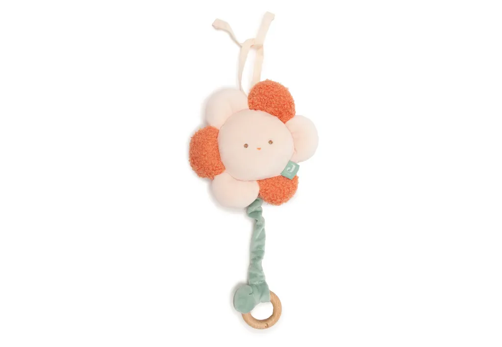 Peluche musicale Pretty Picnic - Jollein