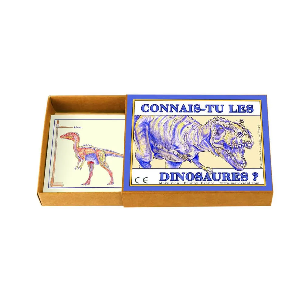 Card Box Connais-tu les dinosaures ? – Dinosaurs - Marc Vidal