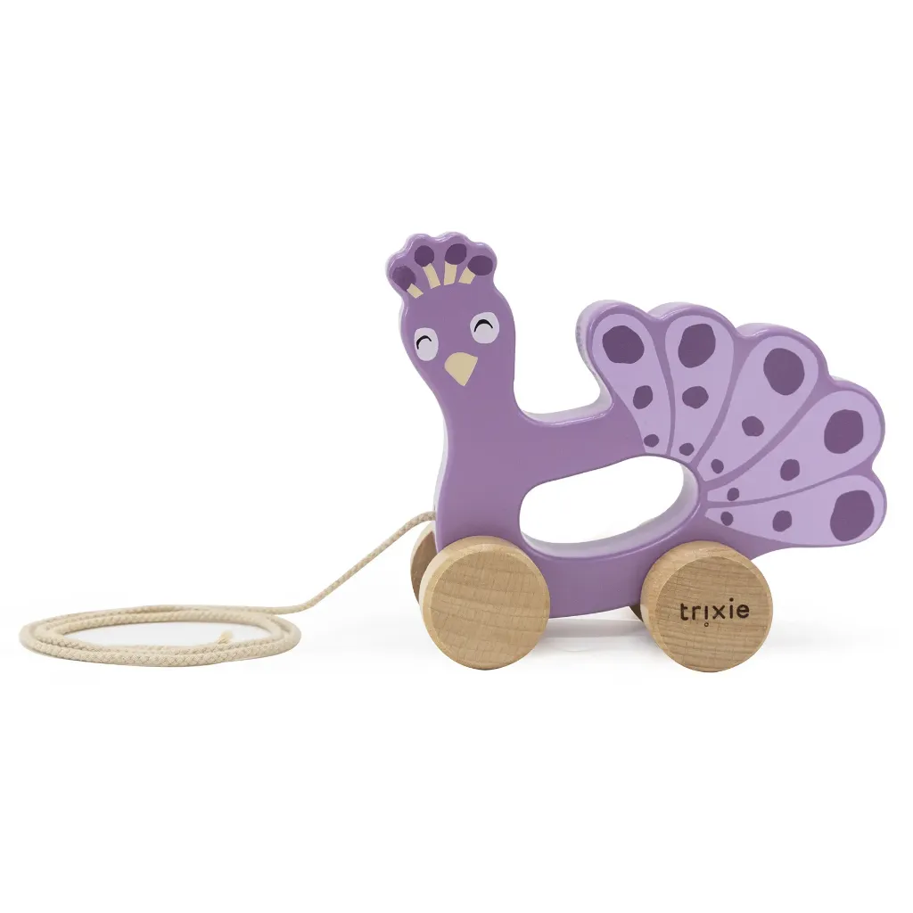 Cuillère silicone 2-pack Mrs. Peacock - Trixie