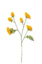 Branche de fleur sauvage en feutre jaune - Nacha Interior