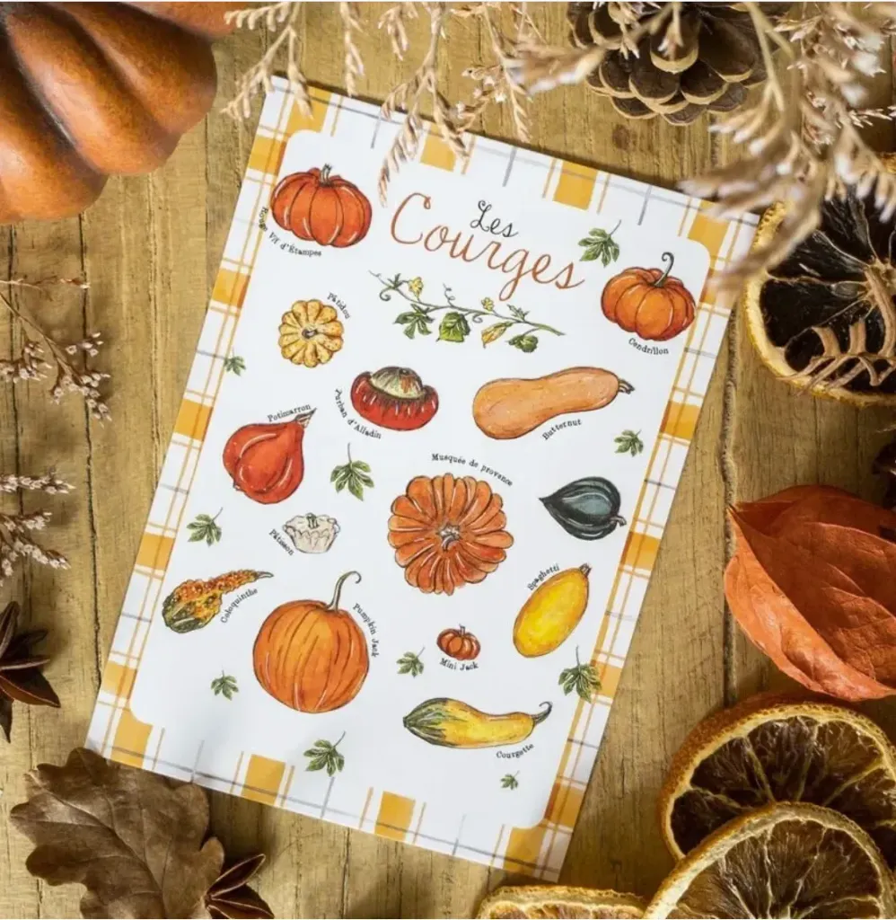 Poster A4 Les Courges - Caro from Woodland