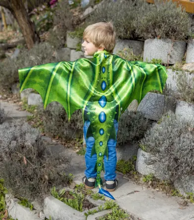 Cape Ailes de Dragon réversible -Liste de cadeaux d'anniversaire pour Edouard